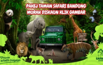 pakej percutian bandung, pakej percutian jakarta bandung, pakej jakarta puncak bandung